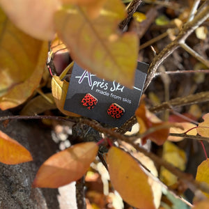 Product tag with 'Apres Ski' branding on a leafy background